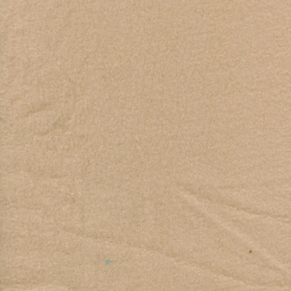 Camel Fleece Fabric